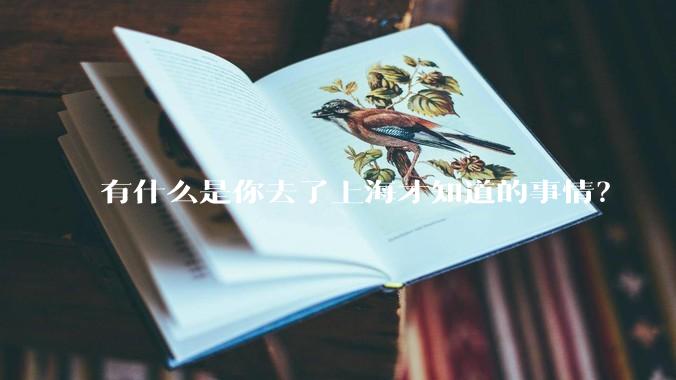 有什么是你去了上海才知道的事情?