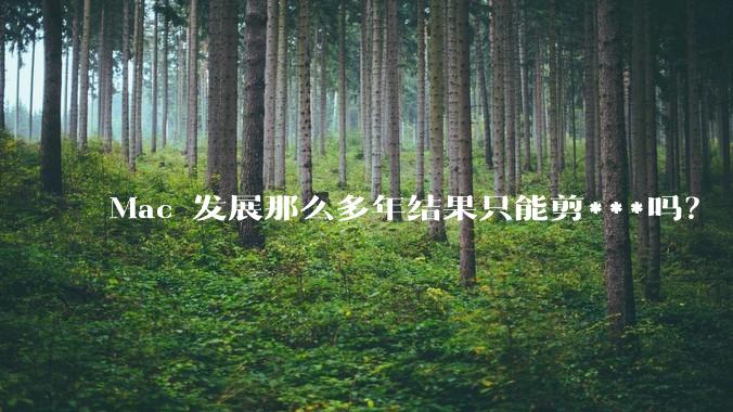 Mac 发展那么多年结果只能剪***吗?