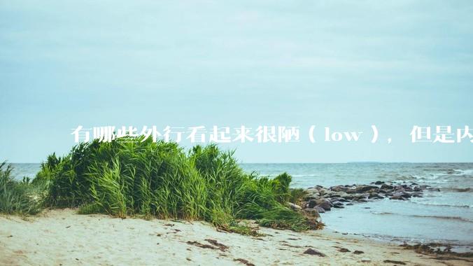 有哪些外行看起来很陋(low),但是内行人却觉得很高大上的东西?