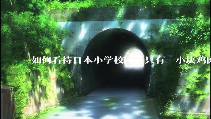 如何看待日本小学校园餐只有一小块鸡肉?