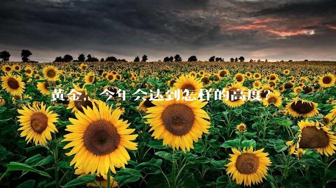 黄金,今年会达到怎样的高度?