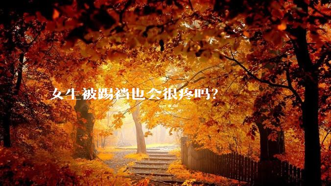 女生被踢裆也会很疼吗?