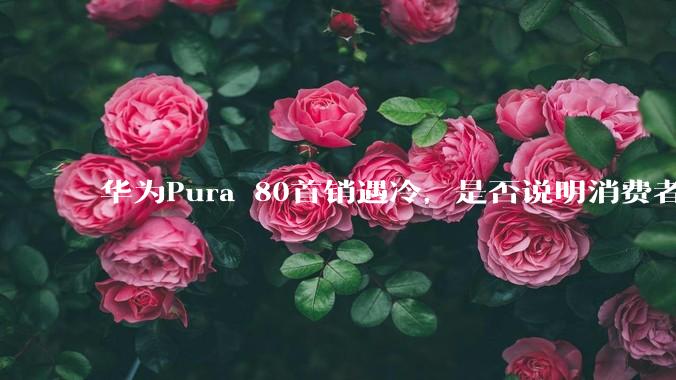华为Pura 80首销遇冷,是否说明消费者已经开始对麒麟芯片性能有所觉醒?