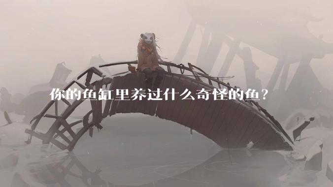 你的鱼缸里养过什么奇怪的鱼?