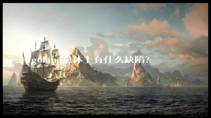 golang总体上有什么缺陷?