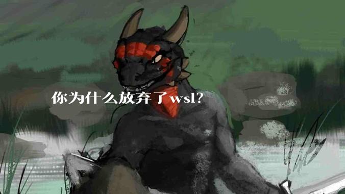你为什么放弃了wsl?