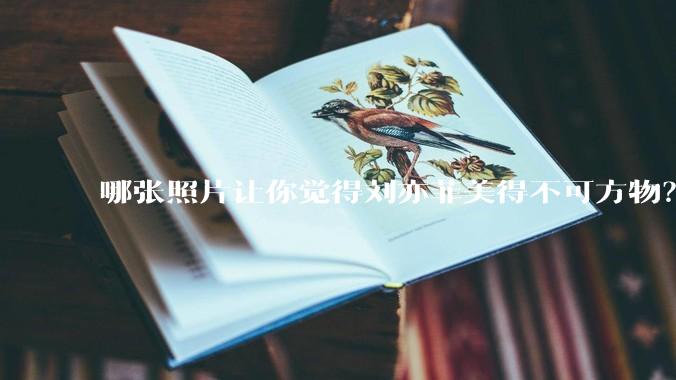 哪张照片让你觉得刘亦菲美得不可方物?